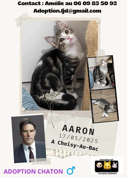 Aaron