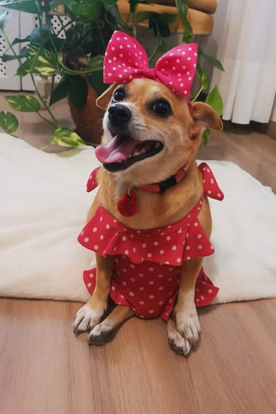 Berta