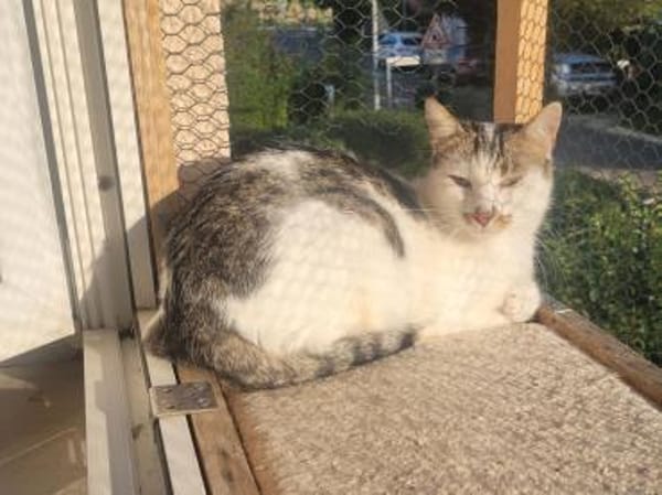 Liebe Becca sucht ihre Menschen
