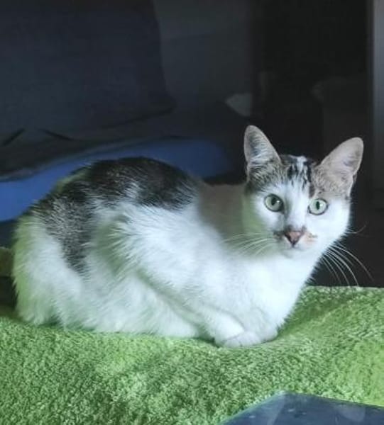 Liebe Becca sucht ihre Menschen