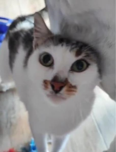 Liebe Becca sucht ihre Menschen