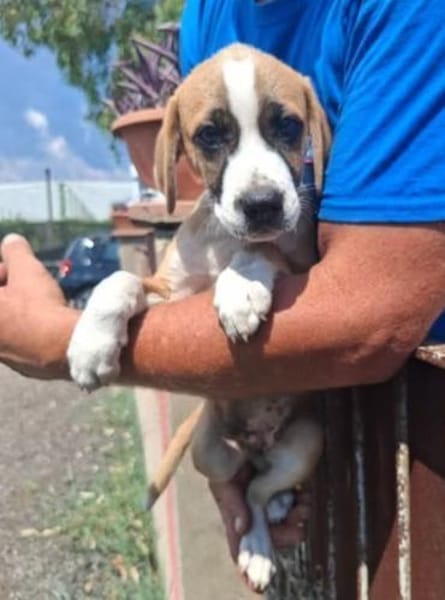 Nikita 🥰🥰🥰