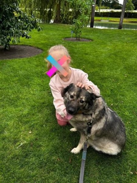 liebgewonnene Erbsenprinzessin Kara