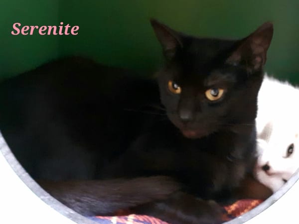 sérénité