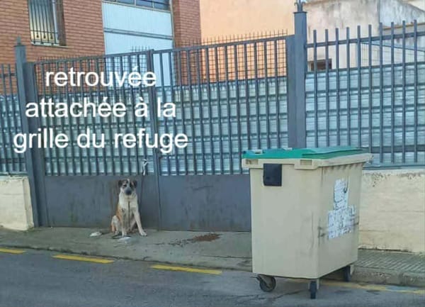 BERTA