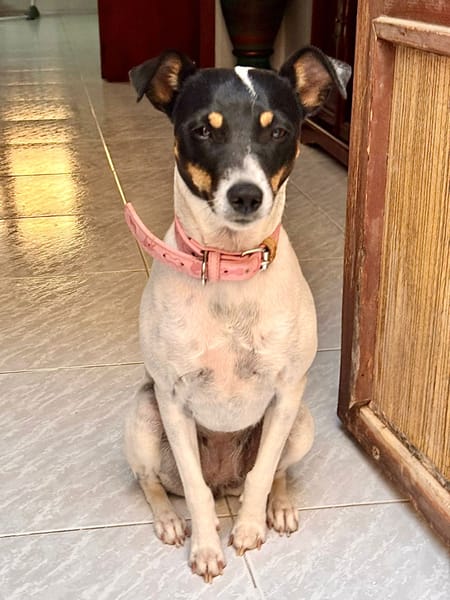 TINA (Martina)