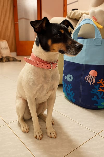 TINA (Martina)