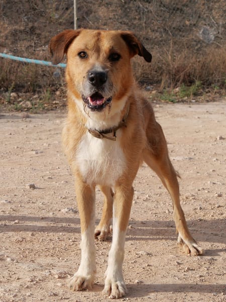 CORONEL (Maria)