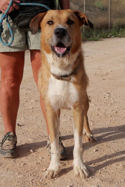 CORONEL (Maria)