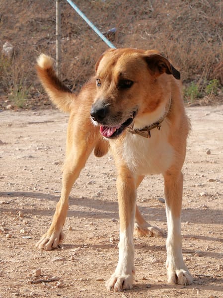 CORONEL (Maria)