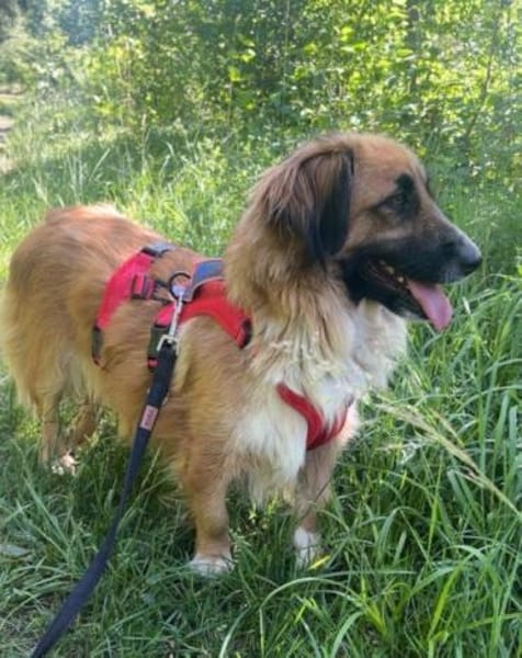 Besuche Grace in 64711 Erbach ❤