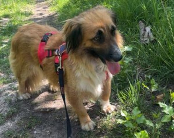 Besuche Grace in 64711 Erbach ❤