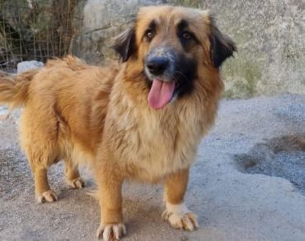Besuche Grace in 64711 Erbach ❤