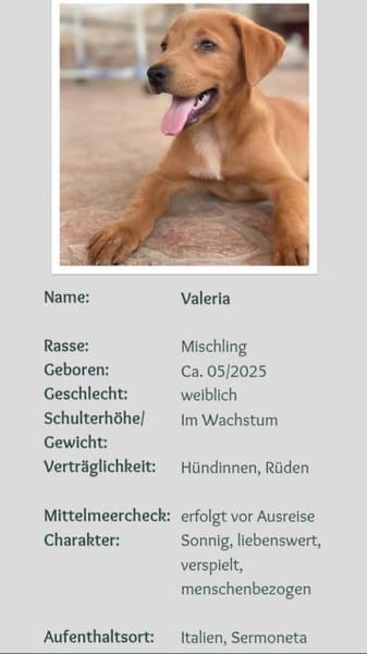 hübsche Valeria 🤩