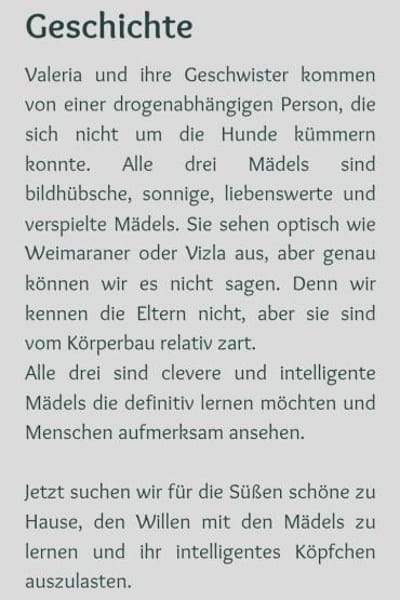 hübsche Valeria 🤩