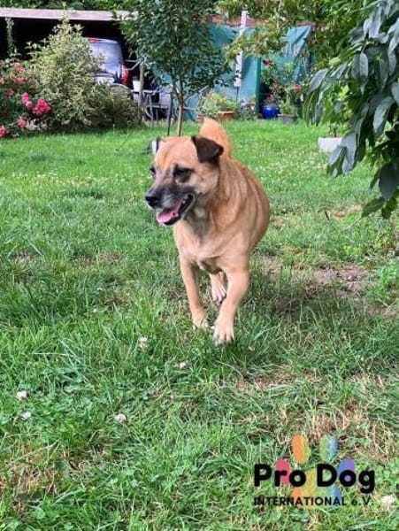 BELLA sucht ihr Glückskörbchen