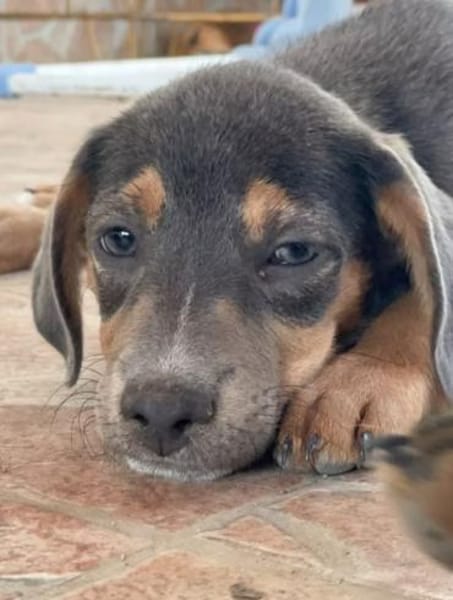 hübsche Velia 🥰🥰🥰