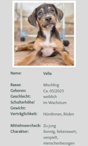 hübsche Velia 🥰🥰🥰
