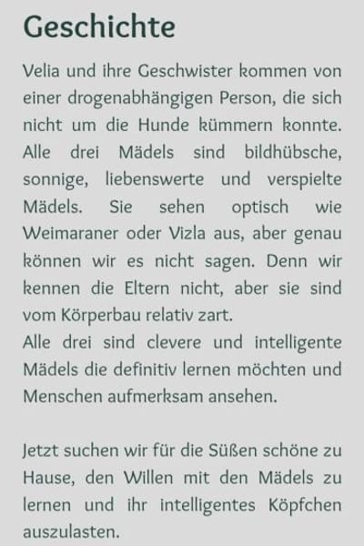 hübsche Velia 🥰🥰🥰