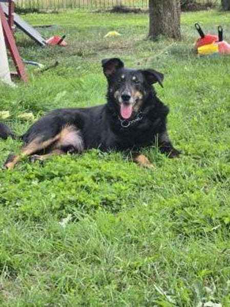 Chico 🌞 Schein liebt alles