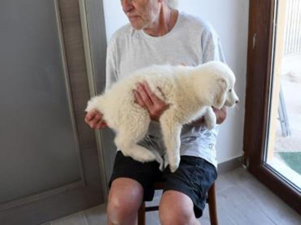 Schenken Sie Carolina ein Zuhause?
