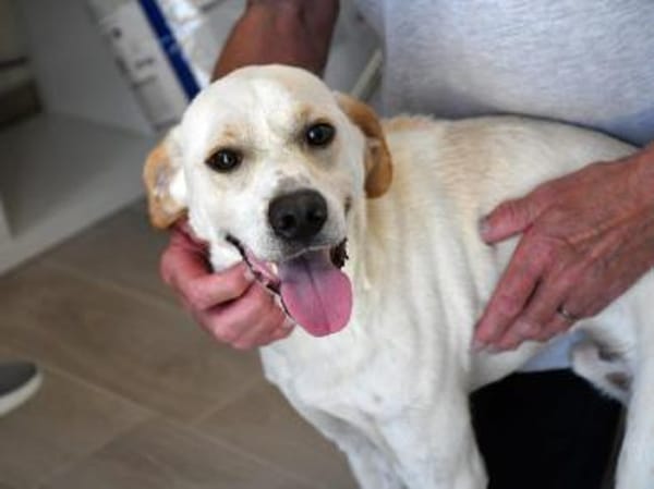Felicino wünscht sich schönes Leben