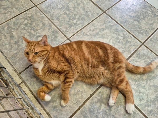GARFIELD