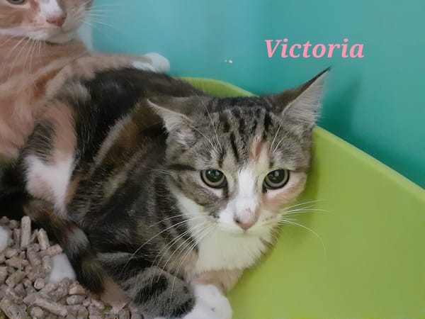 Victoria