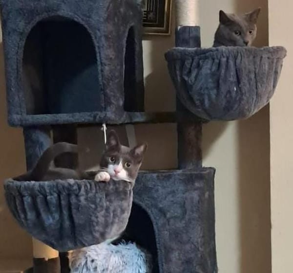 Pumita & Pavarotti