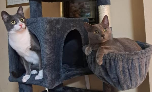 Pumita & Pavarotti