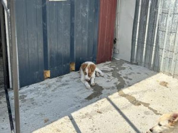 Peanut möchte endlich ankommen