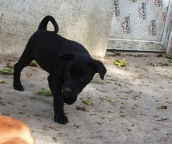 Angy sucht ihre Familie