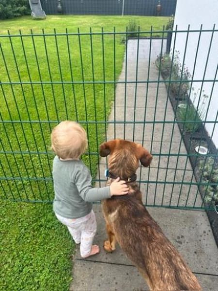 Kayo -zur Pflege in 23701 Bockholt-