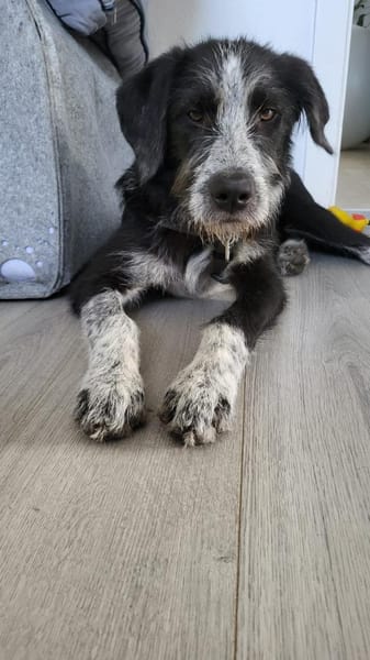 Liebe Paula, sucht ihre Familie