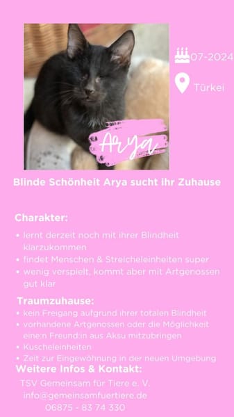 Bilnde Arya
