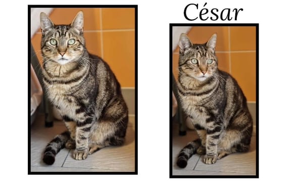 CESAR