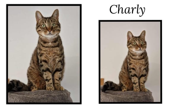CHARLY