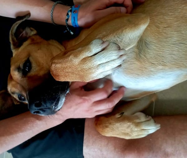 DOUG