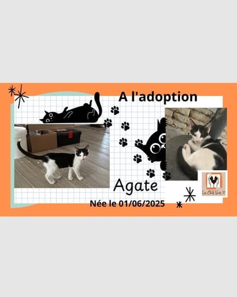 Agathe