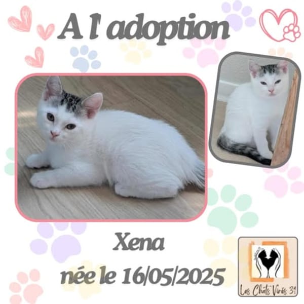 Xéna