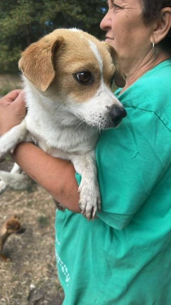 Levi, ein neuer Start, ein neues Glück
