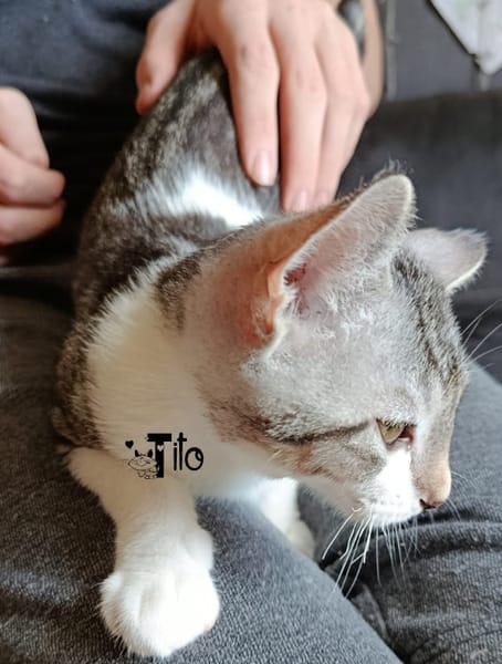 TITO