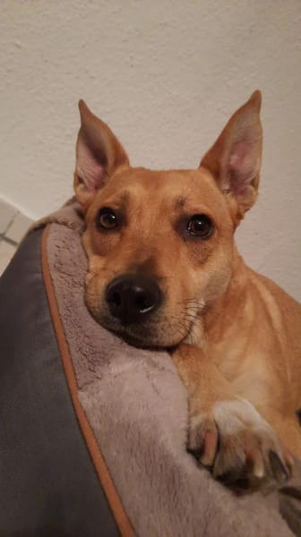 Lita aus Bochum