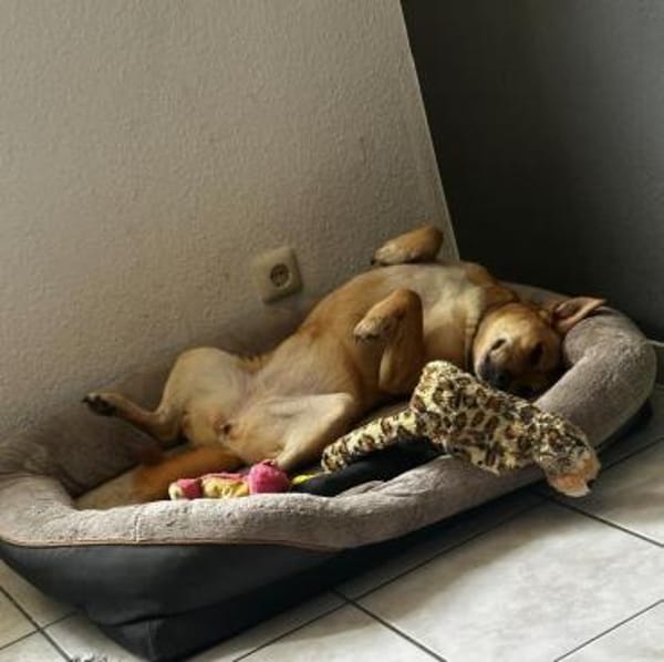 Lita aus Bochum