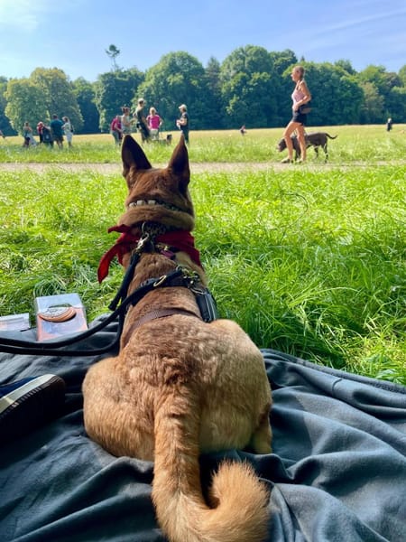 Lita aus Bochum