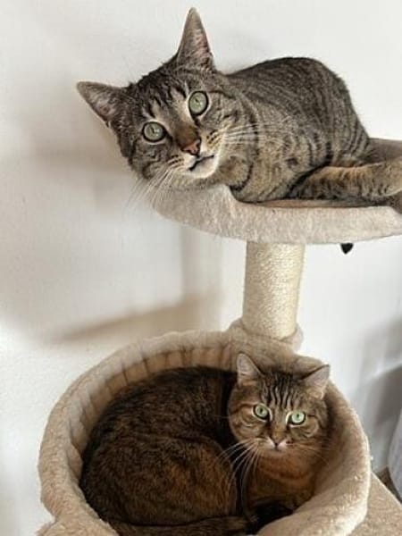 Ben und Benisa