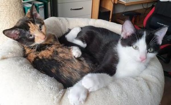 Rosi und Rudi