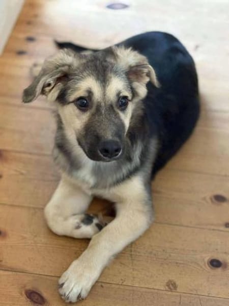 Kiko ist voller Lebensfreude 🐾