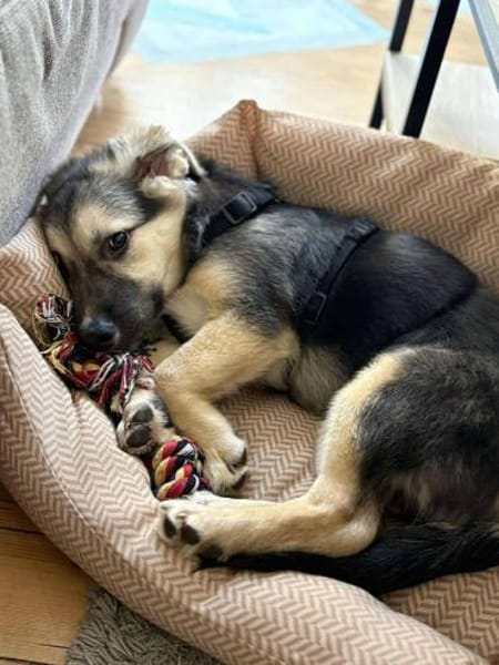 Kiko ist voller Lebensfreude 🐾