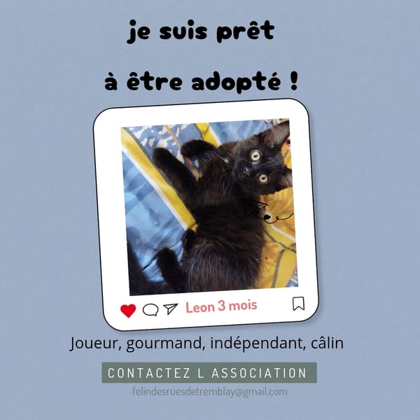 Léon